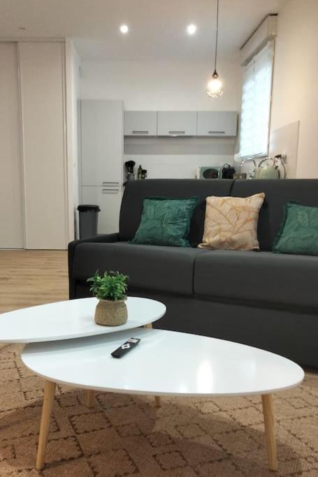 L'Escale Balzac Apartment Villeurbanne Ngoại thất bức ảnh